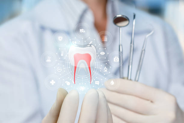 Best Full Mouth Reconstruction  in Largo, FL